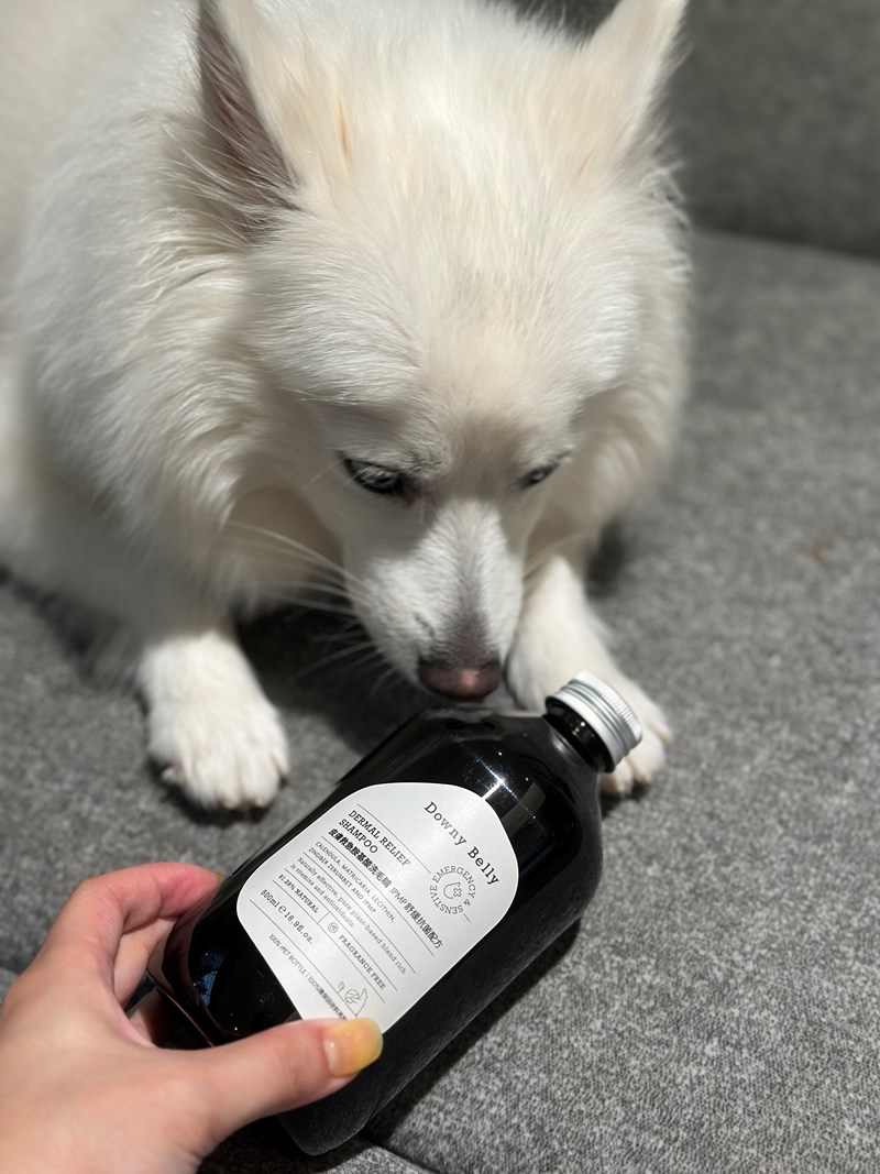 女人知己試用大隊,口碑行銷,部落客行銷,Downy Belly毛肚子,Downy Belly 保濕滋養胺基酸洗毛精,紅球薑淨膚配方,Downy Belly 保濕滋養胺基酸洗毛精-紅球薑淨膚配方,洗品天生防禦力，皮膚天生就很強,除了洗乾淨，其他的真的先不用,胺基酸清潔因子,好的界面活性劑，才能好洗,好沖淨,不易殘留,適量的細緻泡泡,狗貓皆適用,加拿大毒物學家安全把關,100%環保回收料再製瓶器,零廢棄為目標,低敏洗毛精,寵物訓練師好評,Downy Belly毛肚子,Downy Belly 皮膚救急胺基酸洗毛精,IPMP舒緩配方,Downy Belly 皮膚救急胺基酸洗毛精-IPMP舒緩配方,洗品天生防禦力,皮膚天生就很強,除了洗乾淨,其他的真的先不用,胺基酸清潔因子,APG+胺基酸清潔因子,IPMP高安全的成分,好的界面活性劑,才能好洗、好沖淨、不易殘留,適量的細緻泡泡,狗貓皆適用,加拿大毒物學家安全把關,100%環保回收料再製瓶器,零廢棄為目標,低敏洗毛精,寵物訓練師好評